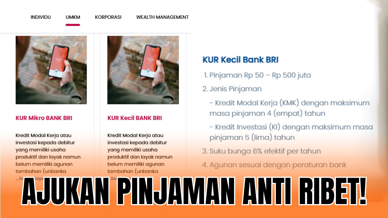 Kredit Usaha Rakyat BRI (KUR BRI)